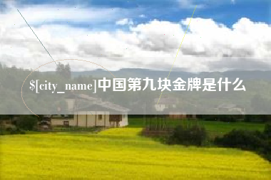 枣庄中国第九块金牌是什么