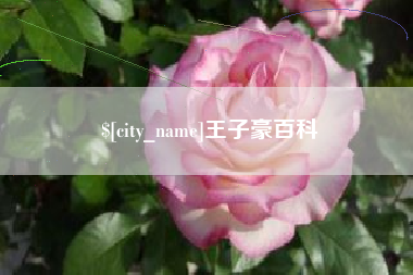 枣庄王子豪百科