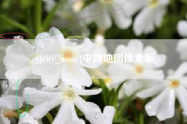 枣庄中国地图像素版