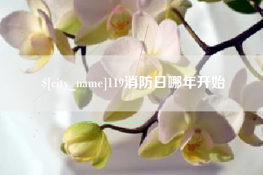 枣庄119消防日哪年开始