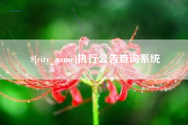 枣庄执行公告查询系统