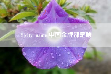 枣庄中国金牌都是啥