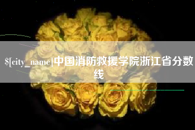 枣庄中国消防救援学院浙江省分数线