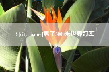 枣庄男子5000米世界冠军