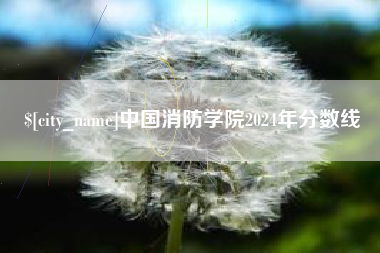 枣庄中国消防学院2024年分数线