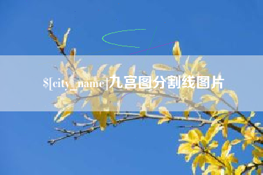 枣庄九宫图分割线图片