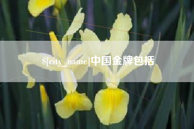 枣庄中国金牌包括