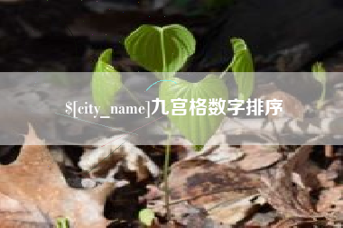 枣庄九宫格数字排序