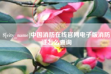 枣庄中国消防在线官网电子版消防证怎么查询