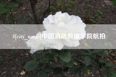 枣庄中国消防救援学院航拍