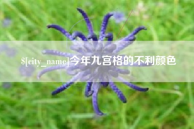 枣庄今年九宫格的不利颜色