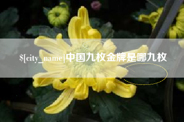 枣庄中国九枚金牌是哪九枚