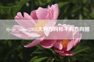 枣庄2025大利方向和不利方向图