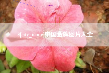 枣庄中国金牌图片大全