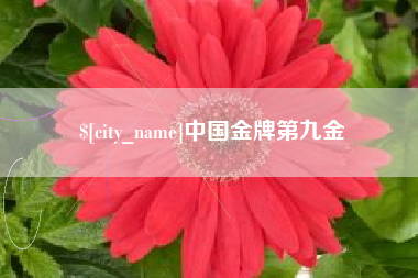 枣庄中国金牌第九金