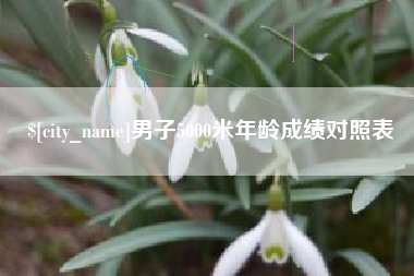 枣庄男子5000米年龄成绩对照表