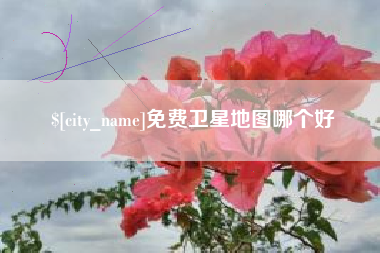 枣庄免费卫星地图哪个好