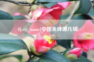 枣庄中国金牌哪几项