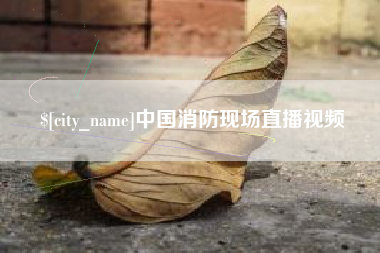 枣庄中国消防现场直播视频