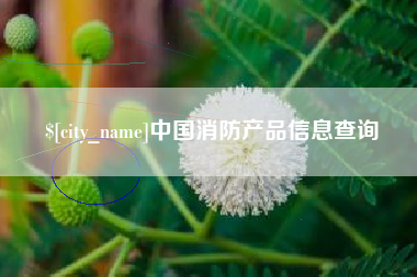 枣庄中国消防产品信息查询