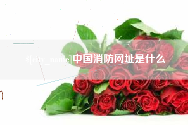 枣庄中国消防网址是什么