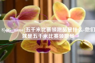 枣庄五千米比赛领跑员是什么-他们就是五千米比赛领跑员