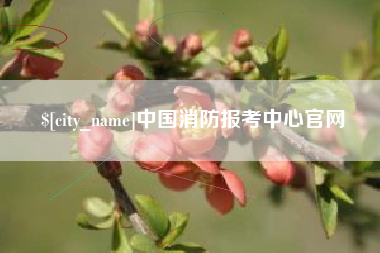 枣庄中国消防报考中心官网