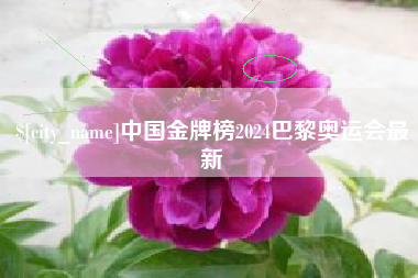 枣庄中国金牌榜2024巴黎奥运会最新