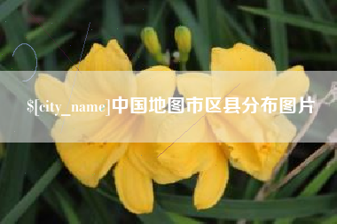 枣庄中国地图市区县分布图片