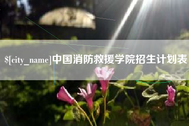 枣庄中国消防救援学院招生计划表