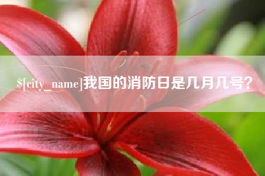 枣庄我国的消防日是几月几号？
