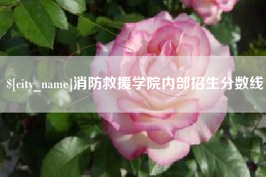 枣庄消防救援学院内部招生分数线