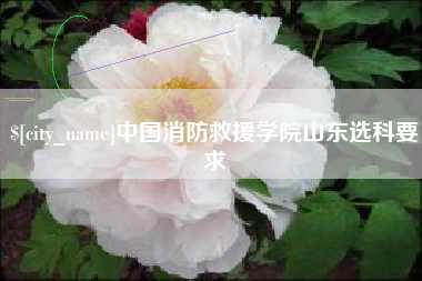 枣庄中国消防救援学院山东选科要求