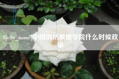 枣庄中国消防救援学院什么时候政审