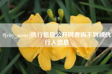 枣庄执行信息公开网查询不到被执行人信息