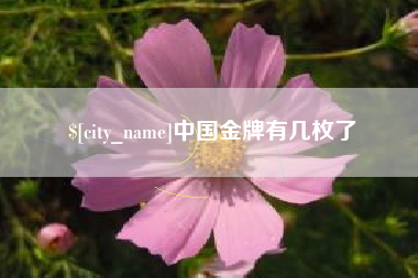 枣庄中国金牌有几枚了