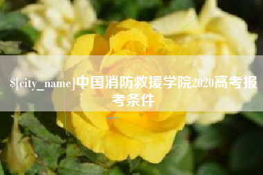 枣庄中国消防救援学院2020高考报考条件