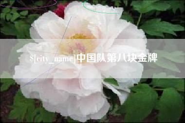 枣庄中国队第八块金牌