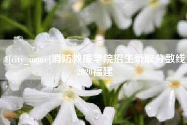 枣庄消防救援学院招生录取分数线2020福建