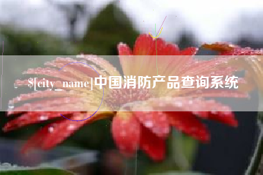 枣庄中国消防产品查询系统