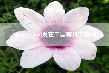 枣庄现在中国哪几个金牌