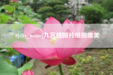 枣庄九宫格图片组图唯美