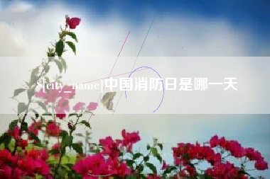 枣庄中国消防日是哪一天