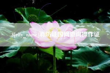 枣庄消防证国网查询操作证
