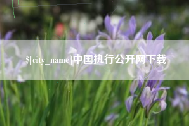 枣庄中国执行公开网下载