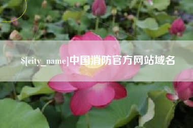 枣庄中国消防官方网站域名