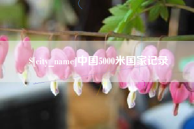 枣庄中国5000米国家记录