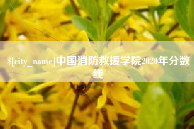 枣庄中国消防救援学院2020年分数线