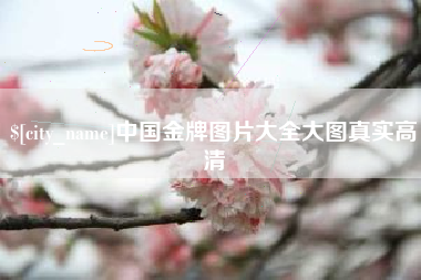 枣庄中国金牌图片大全大图真实高清