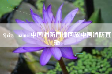 枣庄中国消防直播回放中国消防直播